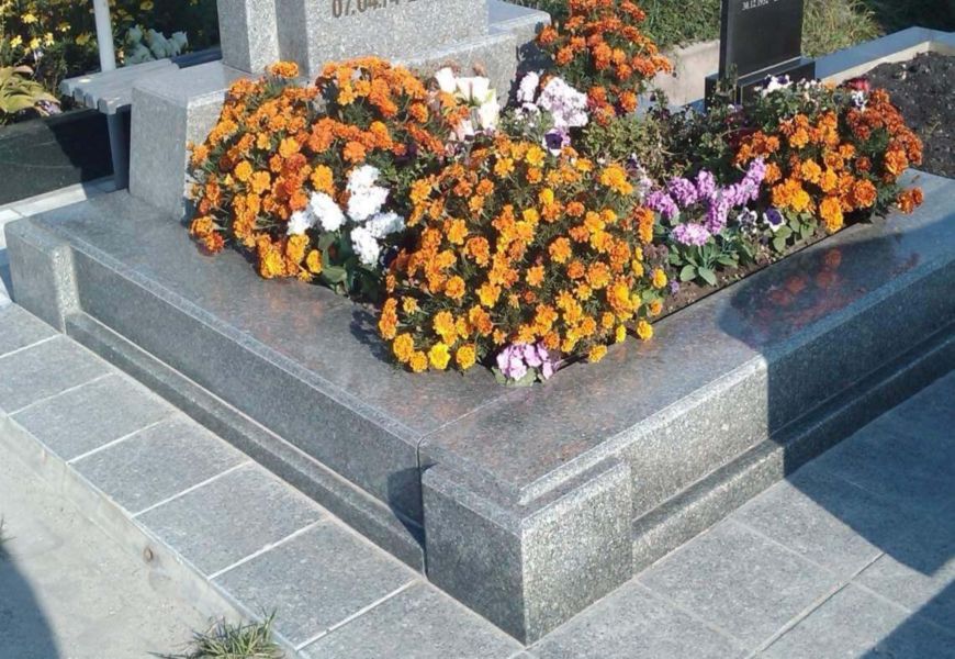 Засухоустойчивые цветы для кладбища